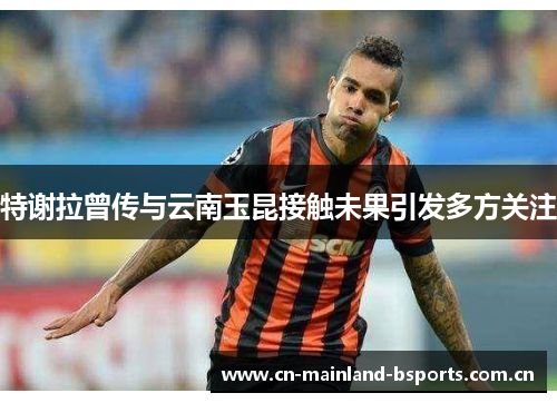 特谢拉曾传与云南玉昆接触未果引发多方关注